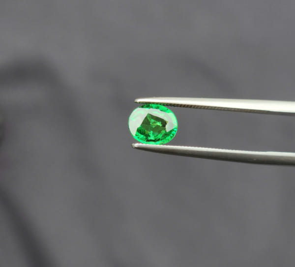 N.Tsavorite Garnet_1.20ct_ Oval, fac_ 7.0 x6.0mm_ Tanzania_PVN568